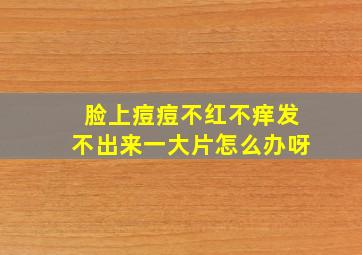 脸上痘痘不红不痒发不出来一大片怎么办呀