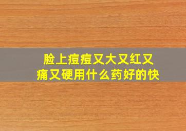 脸上痘痘又大又红又痛又硬用什么药好的快