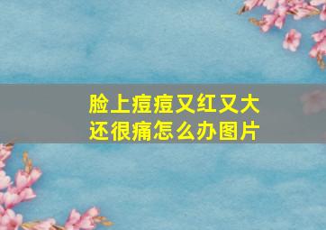 脸上痘痘又红又大还很痛怎么办图片