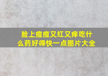 脸上痘痘又红又痒吃什么药好得快一点图片大全