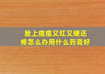 脸上痘痘又红又硬还疼怎么办用什么药膏好