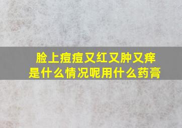 脸上痘痘又红又肿又痒是什么情况呢用什么药膏