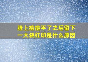 脸上痘痘平了之后留下一大块红印是什么原因