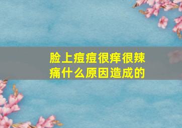 脸上痘痘很痒很辣痛什么原因造成的