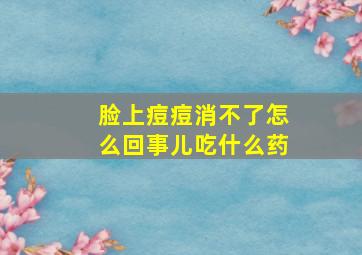 脸上痘痘消不了怎么回事儿吃什么药