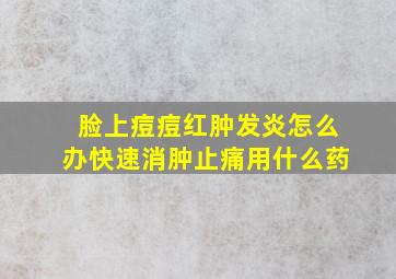 脸上痘痘红肿发炎怎么办快速消肿止痛用什么药