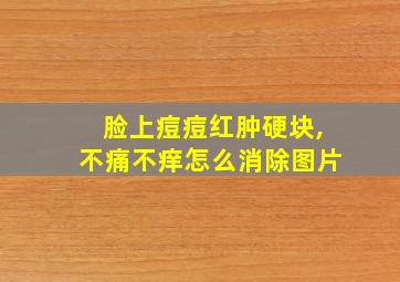 脸上痘痘红肿硬块,不痛不痒怎么消除图片