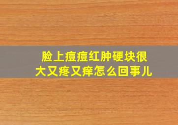 脸上痘痘红肿硬块很大又疼又痒怎么回事儿