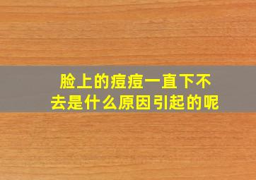 脸上的痘痘一直下不去是什么原因引起的呢