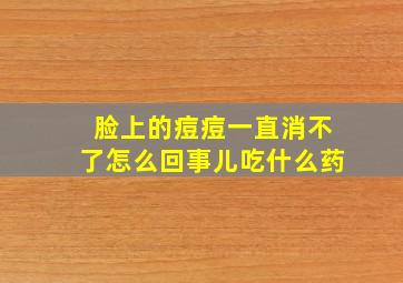 脸上的痘痘一直消不了怎么回事儿吃什么药