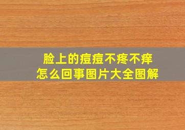 脸上的痘痘不疼不痒怎么回事图片大全图解