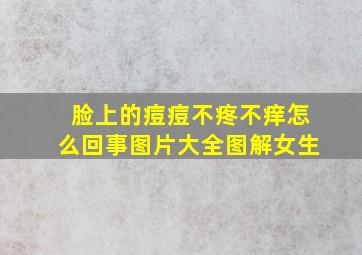 脸上的痘痘不疼不痒怎么回事图片大全图解女生