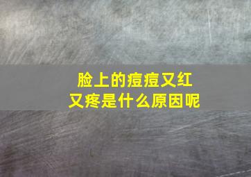 脸上的痘痘又红又疼是什么原因呢