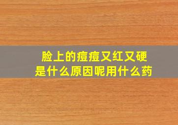 脸上的痘痘又红又硬是什么原因呢用什么药