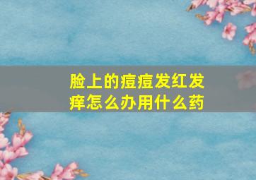 脸上的痘痘发红发痒怎么办用什么药