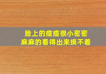 脸上的痘痘很小密密麻麻的看得出来摸不着