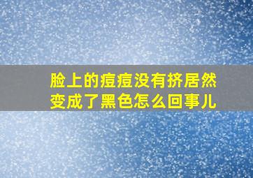 脸上的痘痘没有挤居然变成了黑色怎么回事儿