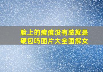 脸上的痘痘没有脓就是硬包吗图片大全图解女