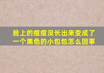 脸上的痘痘没长出来变成了一个黑色的小包包怎么回事