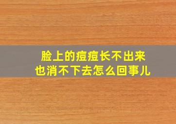 脸上的痘痘长不出来也消不下去怎么回事儿