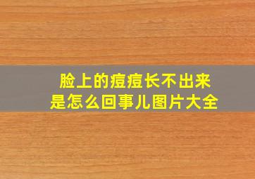 脸上的痘痘长不出来是怎么回事儿图片大全