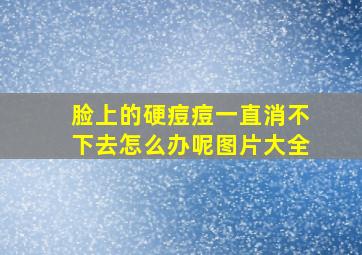 脸上的硬痘痘一直消不下去怎么办呢图片大全