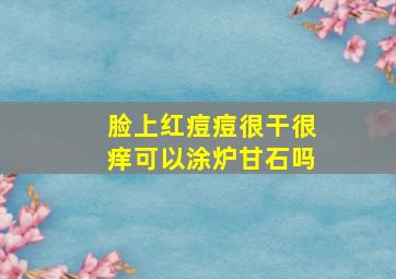 脸上红痘痘很干很痒可以涂炉甘石吗