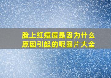 脸上红痘痘是因为什么原因引起的呢图片大全