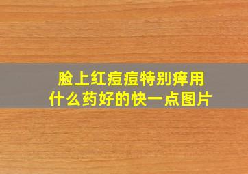 脸上红痘痘特别痒用什么药好的快一点图片