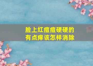 脸上红痘痘硬硬的有点痒该怎样消除