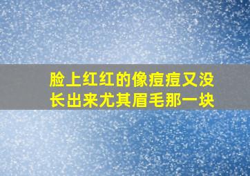 脸上红红的像痘痘又没长出来尤其眉毛那一块