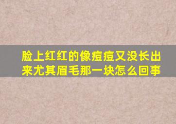 脸上红红的像痘痘又没长出来尤其眉毛那一块怎么回事