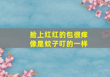 脸上红红的包很痒像是蚊子叮的一样