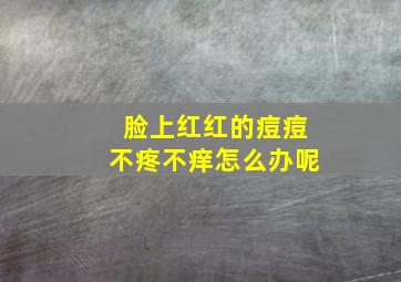 脸上红红的痘痘不疼不痒怎么办呢