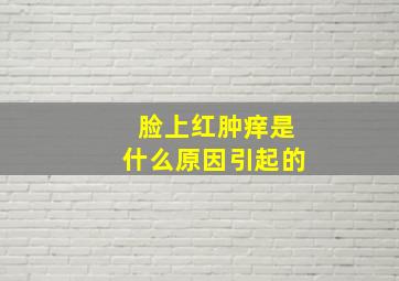 脸上红肿痒是什么原因引起的