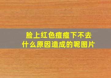 脸上红色痘痘下不去什么原因造成的呢图片