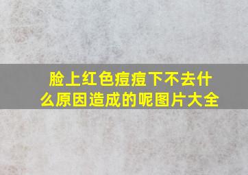 脸上红色痘痘下不去什么原因造成的呢图片大全