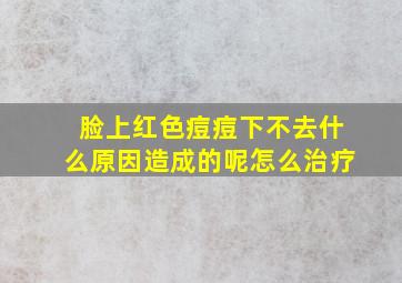 脸上红色痘痘下不去什么原因造成的呢怎么治疗