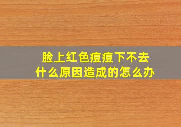 脸上红色痘痘下不去什么原因造成的怎么办