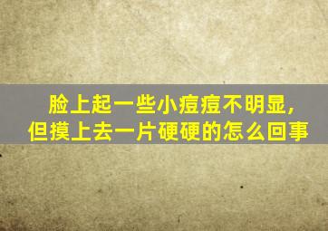 脸上起一些小痘痘不明显,但摸上去一片硬硬的怎么回事