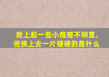 脸上起一些小痘痘不明显,但摸上去一片硬硬的是什么