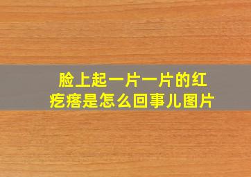 脸上起一片一片的红疙瘩是怎么回事儿图片