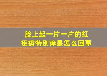 脸上起一片一片的红疙瘩特别痒是怎么回事