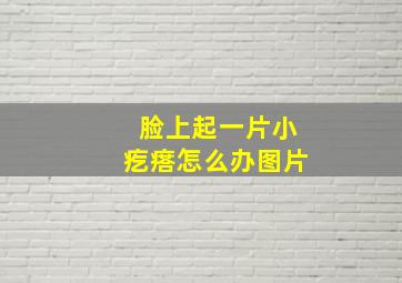 脸上起一片小疙瘩怎么办图片