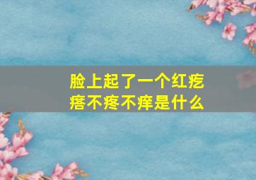 脸上起了一个红疙瘩不疼不痒是什么