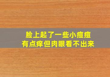 脸上起了一些小痘痘有点痒但肉眼看不出来