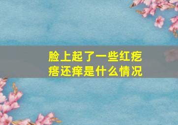 脸上起了一些红疙瘩还痒是什么情况