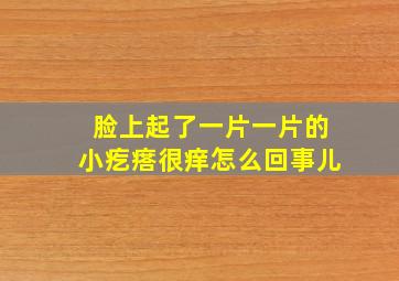 脸上起了一片一片的小疙瘩很痒怎么回事儿