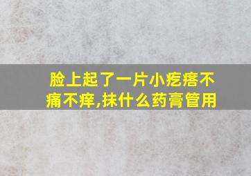 脸上起了一片小疙瘩不痛不痒,抹什么药膏管用