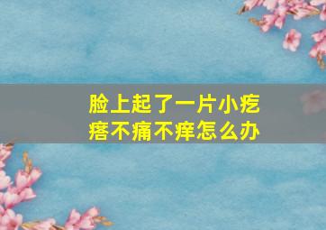 脸上起了一片小疙瘩不痛不痒怎么办